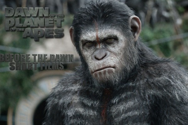 Dawn-of-the-Planet-of-the-Apes-600x400
